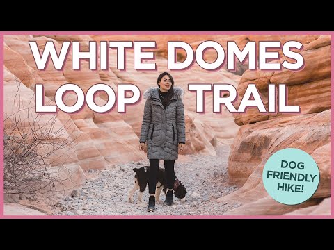 バレー・オブ・ファイア州立公園のホワイト・ドームズ・トレイルで犬と一緒にハイキング (Dog Friendly Hike at White Domes Trail in Valley of Fire State Park)