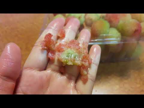 what kind of fruit it is ? strawberry tree fruit ?