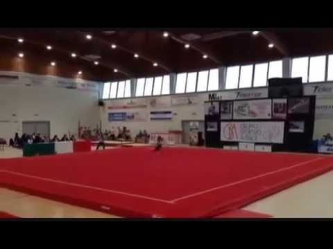 CAMPIONATO NAZIONALE SERIE B1 GAF maggio 20141