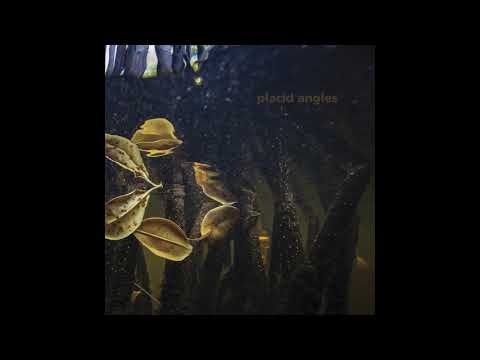 Placid Angles - Touch The Earth [FIGURELP07] (Full Album)