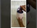 Fancy Steel Mug For Kids
