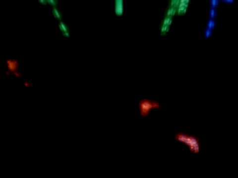 Deadmau5-hi friend (glow show)