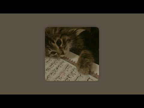 Halal Beats - Where you are  - 1 Hour - Slowed + Reverb + Rain (Vocals Only)