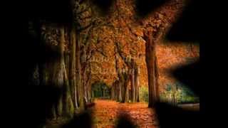 Paolo Nutini - Autumn (by Pit) - testo tradotto in italiano