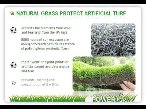 PowerGrass hybrid turf versus synthetic grass