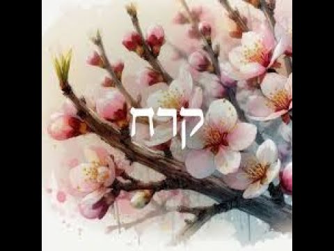 Parashat Korach 5785  (28 June 2025 / 2 Tamuz 5785)