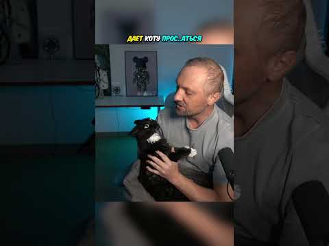 🤣Любовь до гроба | Зубарев #shorts