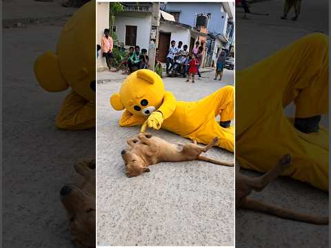 Teddy with Dog😱.......#mrcrazy #teddycomedy #funnyshorts