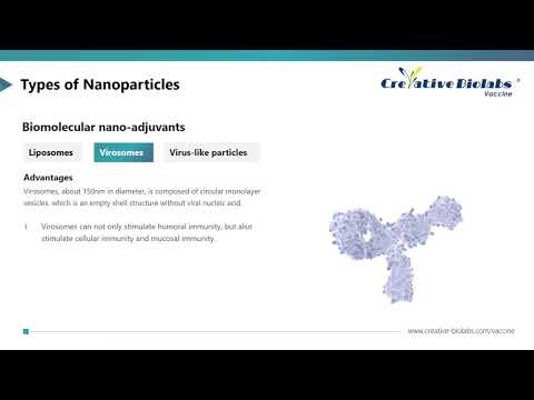 Nano Adjuvant - Creative Biolabs