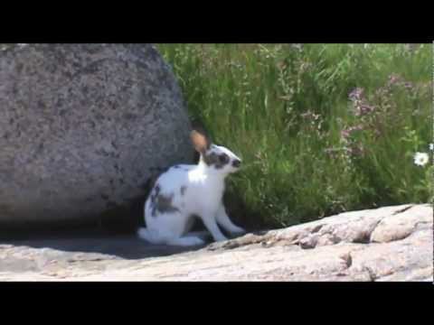 Viimein tiedän mitä onni oikein on❀