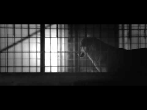 MC SooN - Egy szív, egy lélek (km. Erika)  [ OFFICIAL MUSIC VIDEO ]