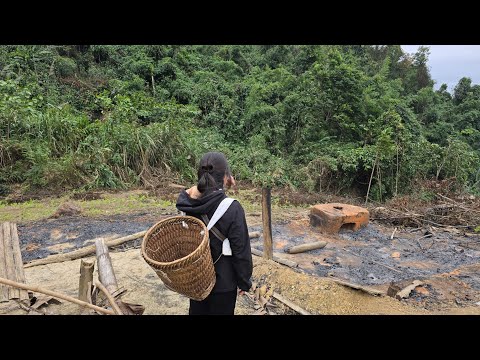 Luyen Painfully Returns to Her Old House – A Heartbreaking Truth That Leaves Everyone in Tears