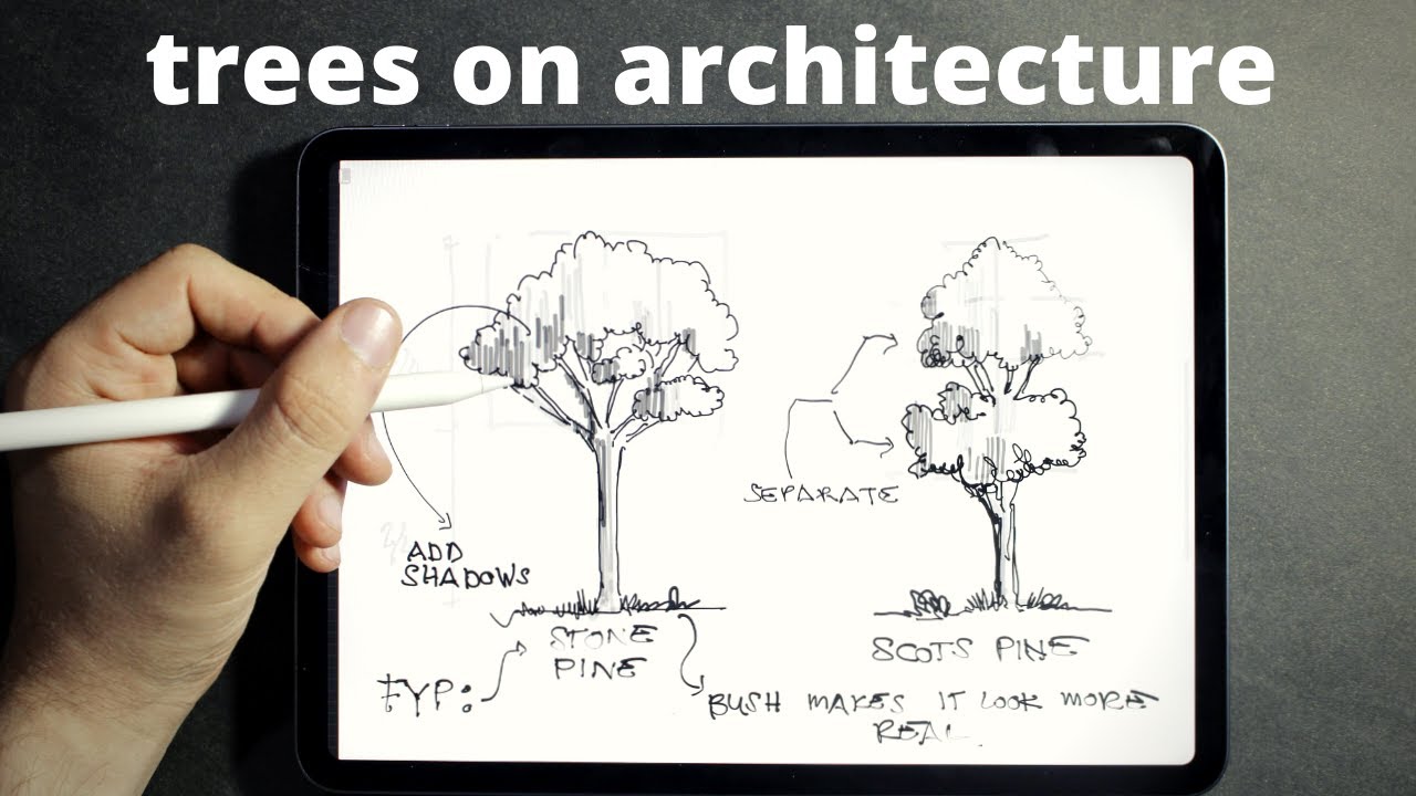 How To Draw Trees  |  Trees on Architecture  |  Part 1