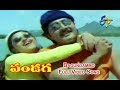 Bagundammo Full Video Song Pandaga ANR Srikanth Raasi ETV Cinema