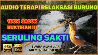 Download lagu 🔴 AUDIO TERAPI SERULING SAKTI ANIS MERAH   TERAPI AIR [PANCINGAN BURUNG ANIS MERAH BIAR NGEPLONG] mp3