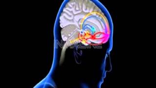 Living by Laws or Promise by Bro. Neville Johnson