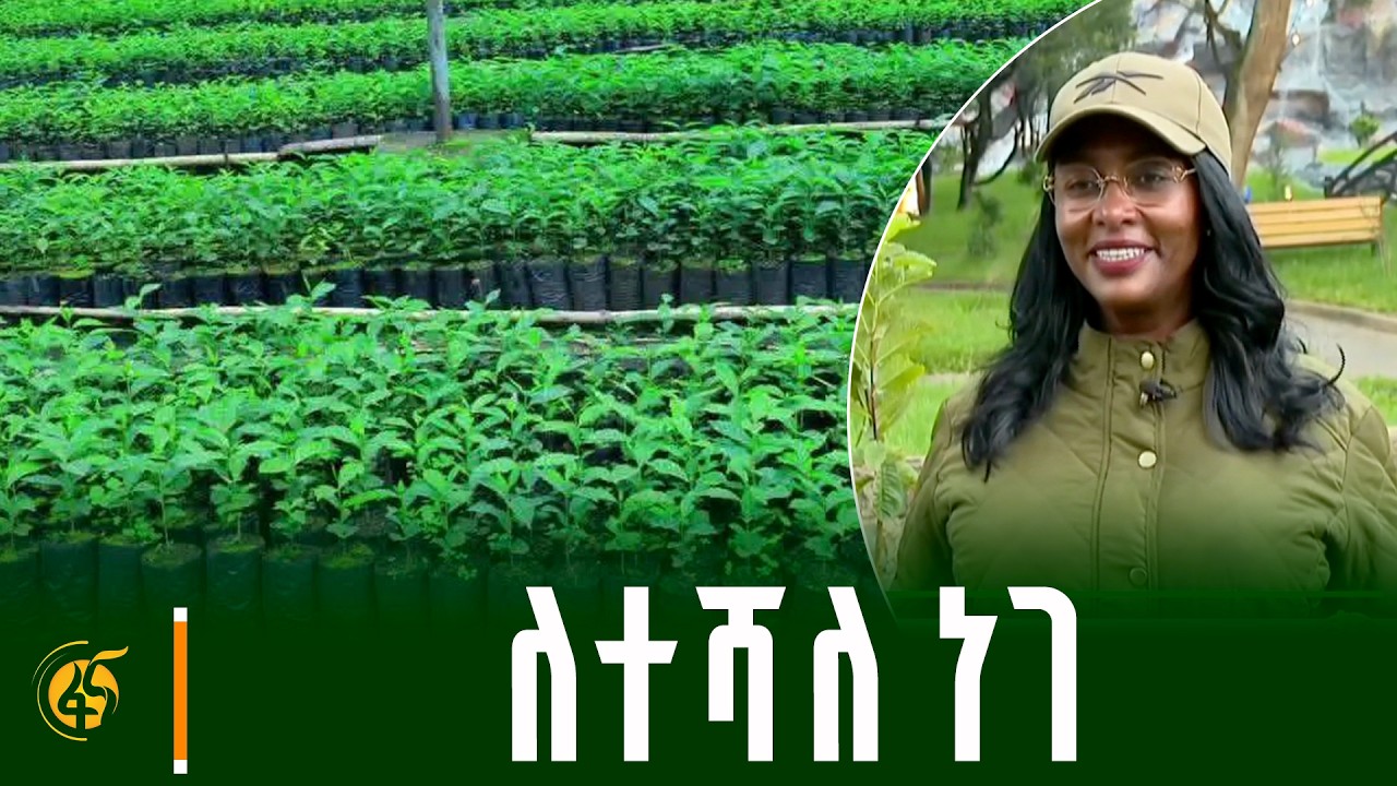 “ለውጤት የሚተጉ ሚልየን ተስፈኞች”