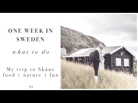 One week in Skåne, Sweden  | F O O D ,  N A T U R E , F U N |  Nadia Damaso