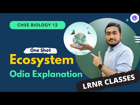 ​Ecosystem Class 12 Biology CHSE