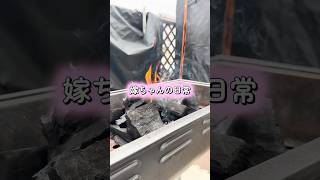 嫁ちゃんの日常✨️ #犬のいる暮らし #愛犬 #youtube #チャンネル登録お願いします