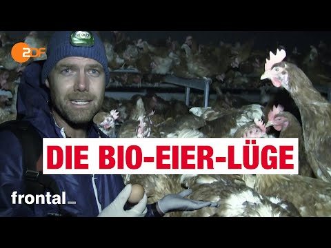 , title : 'Bio-Eier: Massentierhaltung und Tierleid | frontal'