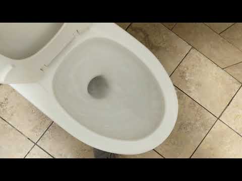 Vintage Standard toilet at Days Inn in Arlington Virginia