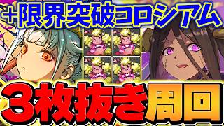 【今なら100%組める】+891を作りたい人はこれを見ろ！プラマラ3枚抜き編成解説！限界突破コロシアム【パズドラ】