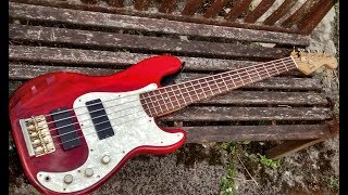 Video thumbnail for squier pro tone precision bass 5 by MADMALKO