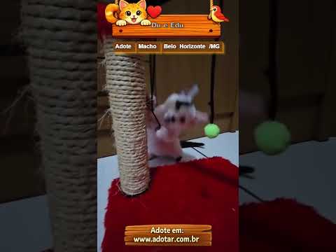 Vídeo de Du