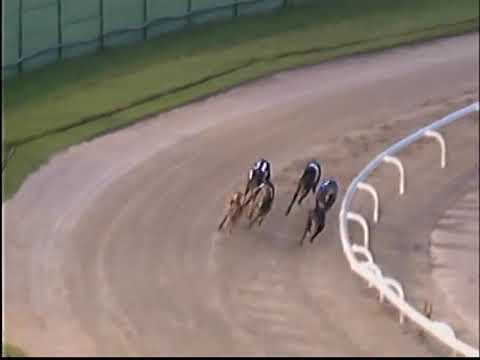 DROOPYS LIVE TRAP 2 FINAL STAYERS CLASSIC MONMORE