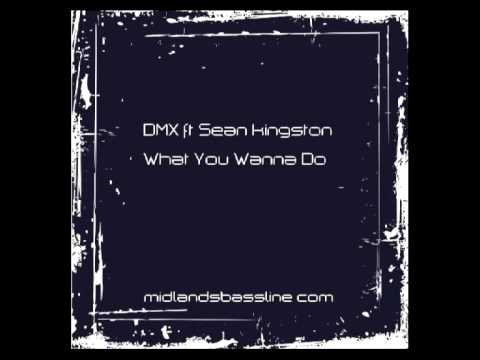 DMX ft Sean Kingston   What You Wanna Do 2010