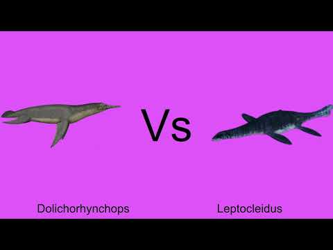 Ultimate Sea Monsters Battle Round 1 Part 12 Dolichorhynchops Vs Leptocleidus