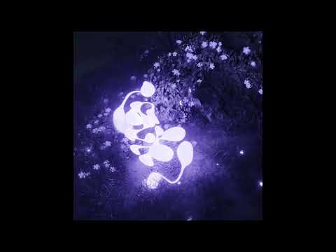 [150+] Loops, Drums, One Shots, Midi Kits - "LEXI" Multi Kit