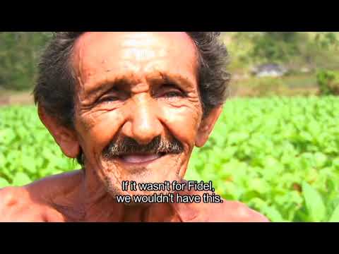 Thumbnail for With or Without Fidel by R.E.M.