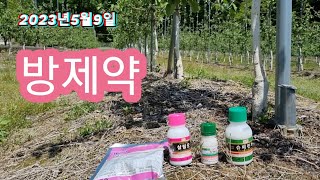 2023년5월9일 사과나무 방제약