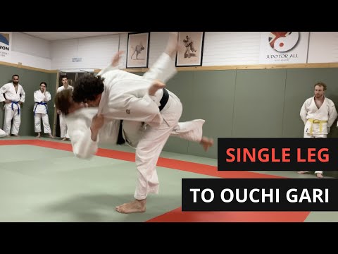 Powerful Old School Single Leg (Kuchiki Taoshi) to Ouchi Gari takedown for Judo / BJJ — judo technique demonstration
