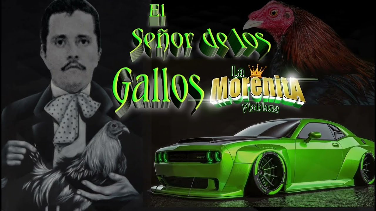 el señor de los gallos //Los Alegres Del Barranco
