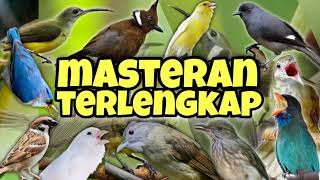 Download lagu PALING GILA!! DIJAMIN MUNTAH MATERI !!! Masteran terlengkap dengan tembakan super pedass mp3
