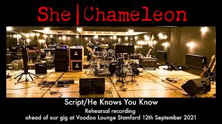 She Chameleon - Script/He Knows You Know Marillion Cover
