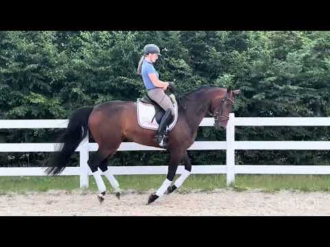 *FOR SALE*  Stute geb. 2021                         Taurus x  Florestan I