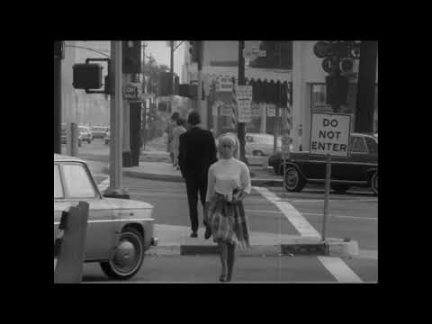 The Sons Of Adam - Mr. Sun (Live at the Avalon CA. 1966) Garage Rock