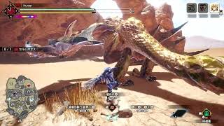 [MHR ]  銃槍與大劍 新影片