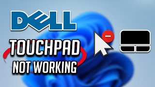 Dell Touchpad Not Working in Windows 11 [2024 Tutorial]