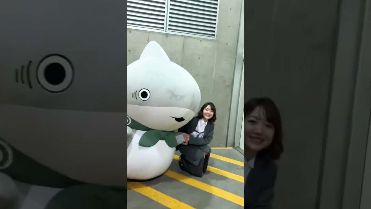 🦈アニメ『#おでかけ子ザメ』シーズン2🦈 4月12日（日）より放送・配信開始！