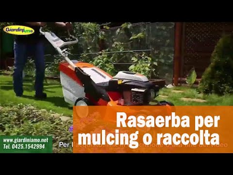Miniatura Video
