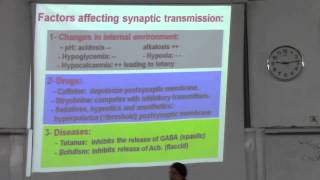 4-[Sensory] Dr.Maha Sabry 13-10-2015(Factors affecting synaptic transmission-Neurotransmitters)