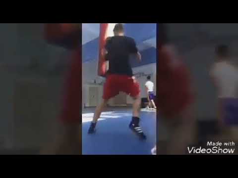 Prezentare boxer - Calota Albert