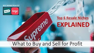 TOP 6 Buy and Sell for a PROFIT Niches!