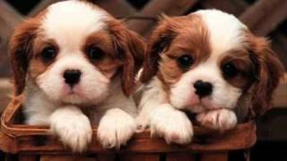 Milk & Sugar - I got this feeling