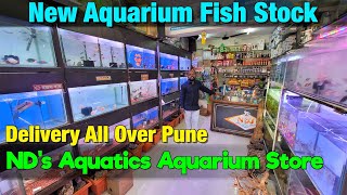 New Fish Stock at ND's Aquatics Aquarium Store I Delivery Available All Over Pune